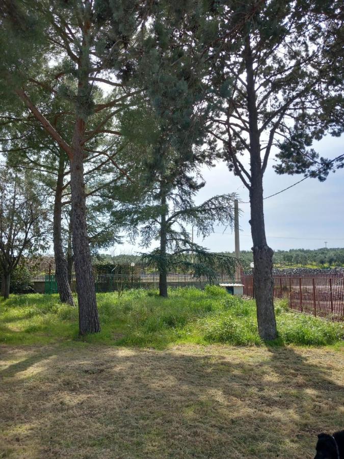Villa Udi Bitonto Kültér fotó